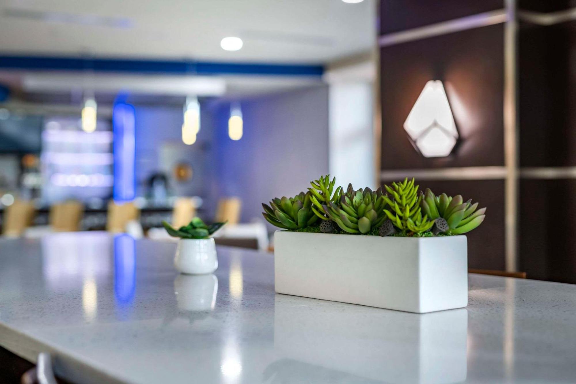 דניה ביץ' Cambria Hotel Ft Lauderdale, Airport South & Cruise Port מראה חיצוני תמונה